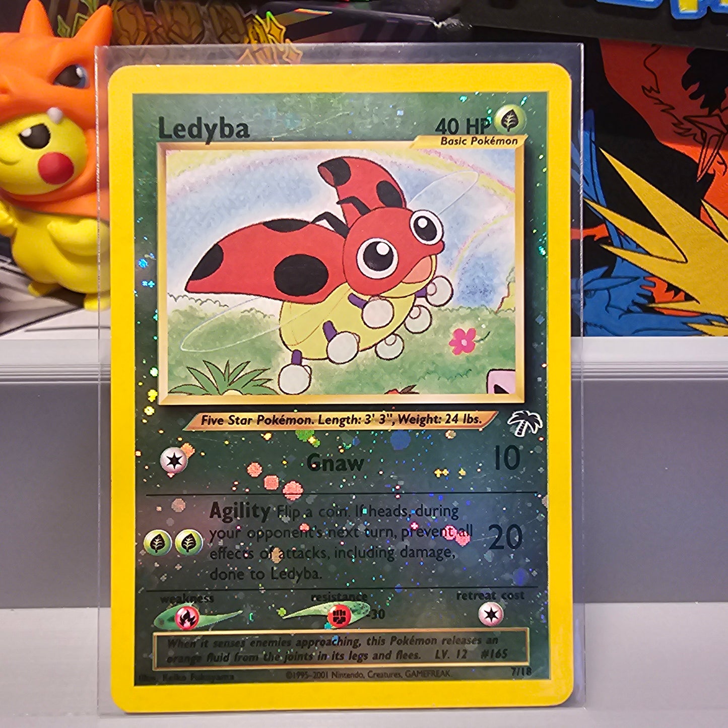 Ledyba w/swirl - Southern Islands (SI)
