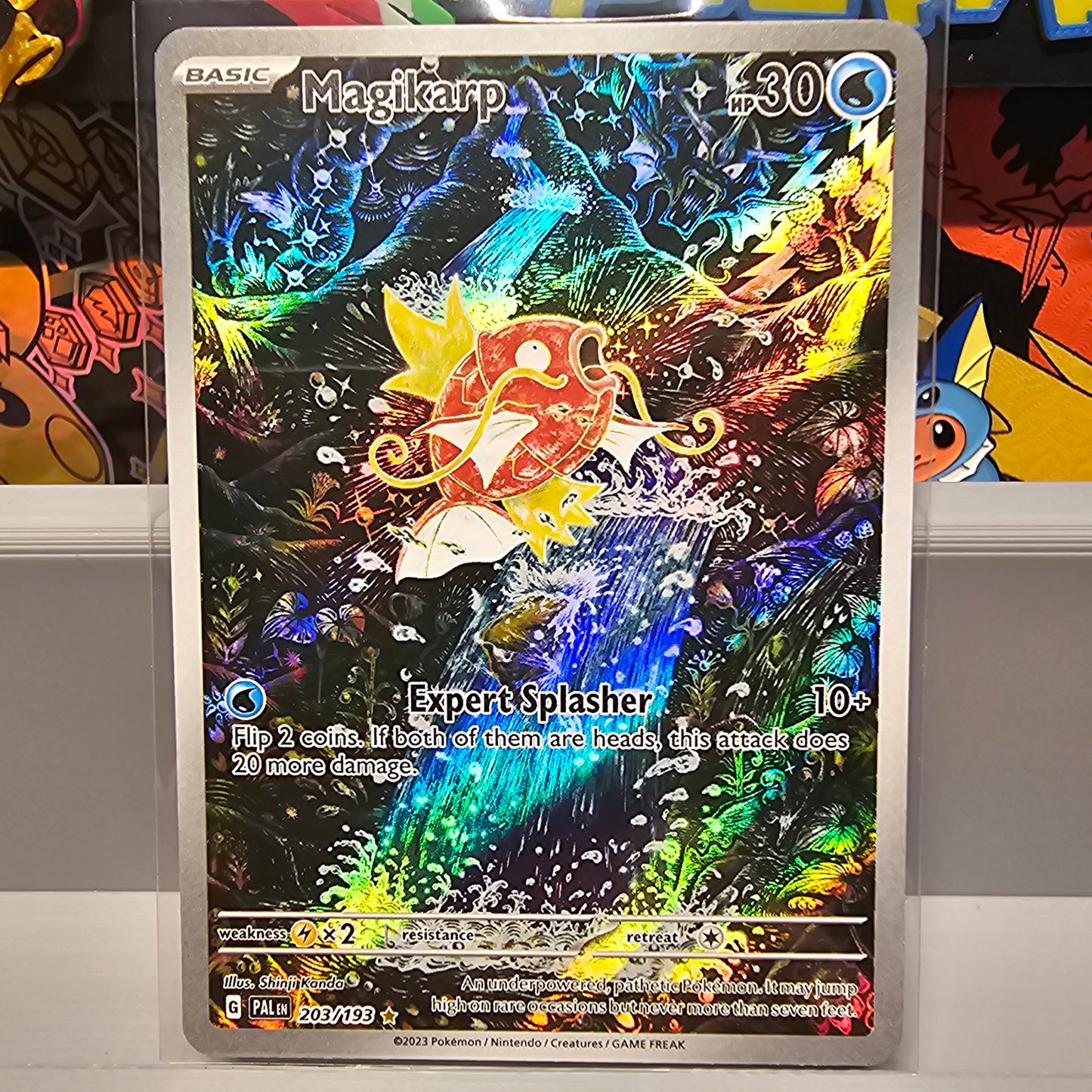 Magikarp - 203/193 - SV02: Paldea Evolved (PAL)